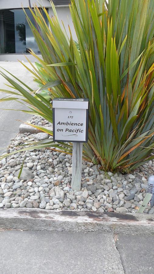 Ambience On Pacific Bed and Breakfast Palmerston North Exteriör bild
